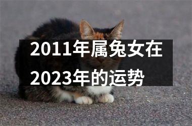 <h3>2011年属兔女在2025年的运势