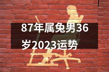 87年属兔男36岁2025运势