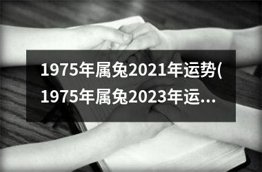 1975年属兔2025年运势(1975年属兔2025年运势及运程每月运程)