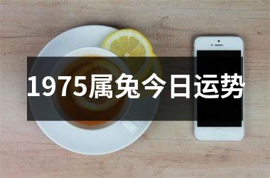 1975属兔今日运势