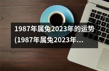 <h3>1987年属兔2025年的运势(1987年属兔2025年运势及运程)