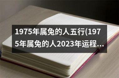 1975年属兔的人五行(1975年属兔的人2025年运程)