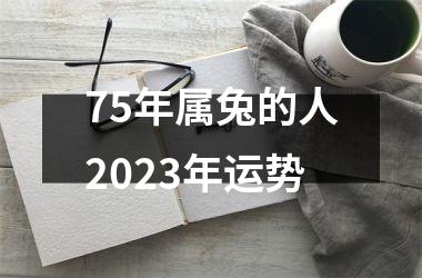 <h3>75年属兔的人2025年运势