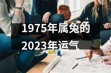 1975年属兔的2025年运气