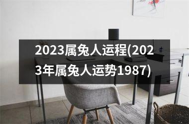 2025属兔人运程(2025年属兔人运势1987)