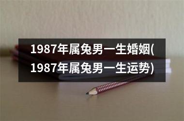 1987年属兔男一生婚姻(1987年属兔男一生运势)