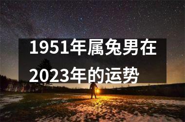 1951年属兔男在2025年的运势