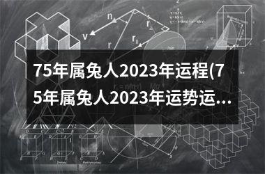 75年属兔人2025年运程(75年属兔人2025年运势运程每月运程)