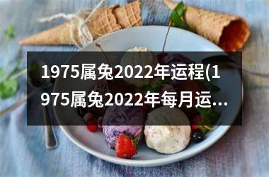 <h3>1975属兔2025年运程(1975属兔2025年每月运势及运程详解)