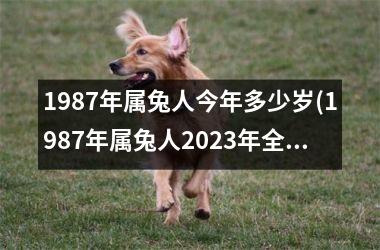 1987年属兔人今年多少岁(1987年属兔人2025年全年运势)