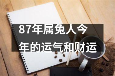 87年属兔人今年的运气和财运