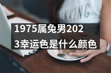 <h3>1975属兔男2025幸运色是什么颜色