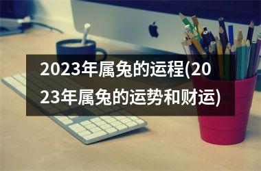 2025年属兔的运程(2025年属兔的运势和财运)