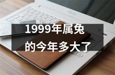 <h3>1999年属兔的今年多大了