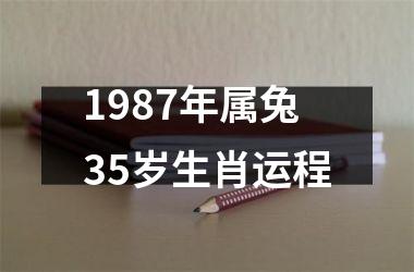 <h3>1987年属兔35岁生肖运程