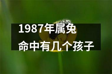 1987年属兔命中有几个孩子