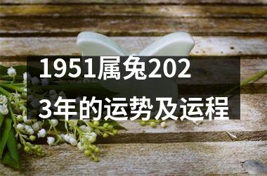 1951属兔2025年的运势及运程