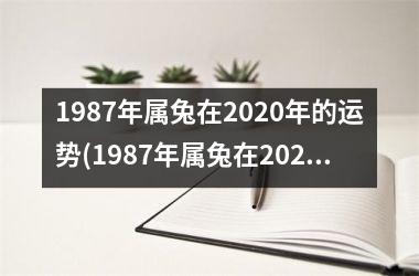 1987年属兔在2025年的运势(1987年属兔在2025年的运程)