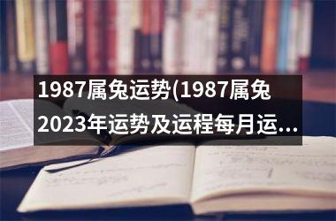 <h3>1987属兔运势(1987属兔2025年运势及运程每月运程)