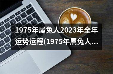 1975年属兔人2025年全年运势运程(1975年属兔人2025年运势及运程)