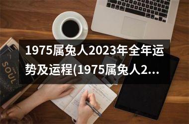 <h3>1975属兔人2025年全年运势及运程(1975属兔人2025年全年运势详解)