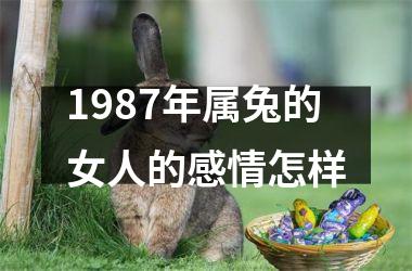 1987年属兔的女人的感情怎样