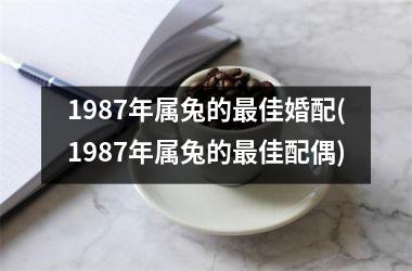 <h3>1987年属兔的最佳婚配(1987年属兔的最佳配偶)