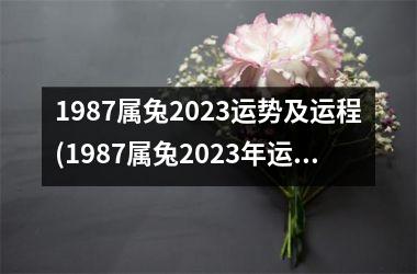 <h3>1987属兔2025运势及运程(1987属兔2025年运势及运程每月运程)