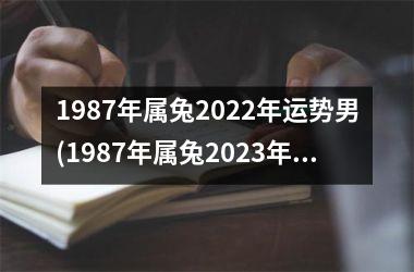 1987年属兔2022年运势男(1987年属兔2023年运势及运程)