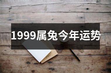 1999属兔今年运势