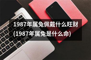 1987年属兔佩戴什么旺财(1987年属兔是什么命)