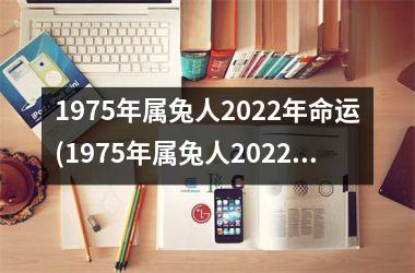 1975年属兔人2025年命运(1975年属兔人2025年运势及运程)