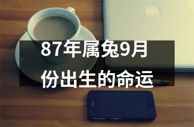 87年属兔9月份出生的命运