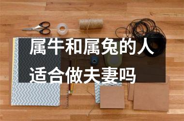 属牛和属兔的人适合做夫妻吗
