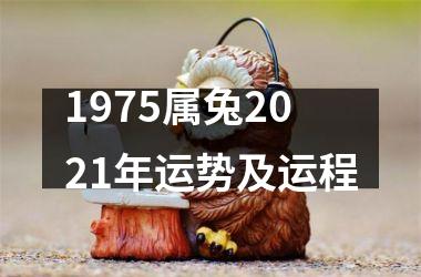 <h3>1975属兔2021年运势及运程