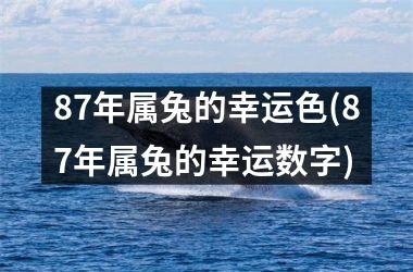 87年属兔的幸运色(87年属兔的幸运数字)