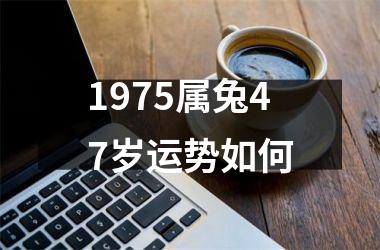 1975属兔47岁运势如何