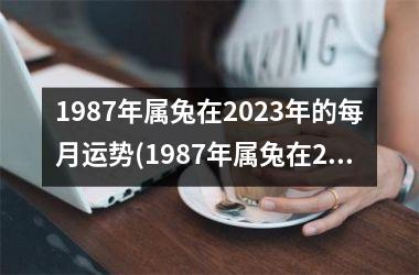 1987年属兔在2025年的每月运势(1987年属兔在2025年的运程)