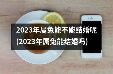 2025年属兔能不能结婚呢(2025年属兔能结婚吗)