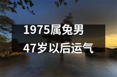 <h3>1975属兔男47岁以后运气