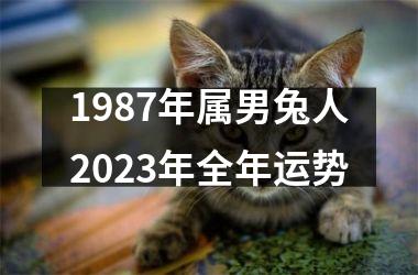 1987年属男兔人2025年全年运势