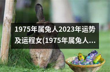 1975年属兔人2025年运势及运程女(1975年属兔人2025年运势及运程每月运程)