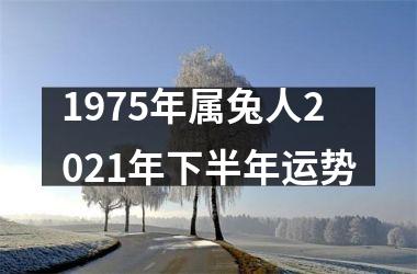 1975年属兔人2025年下半年运势