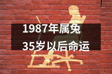 <h3>1987年属兔35岁以后命运