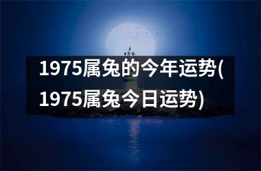 1975属兔的今年运势(1975属兔今日运势)