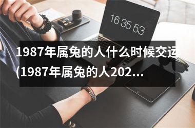 1987年属兔的人什么时候交运(1987年属兔的人2025年运程)