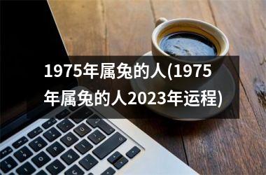 1975年属兔的人(1975年属兔的人2025年运程)