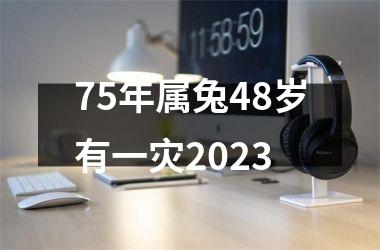 <h3>75年属兔48岁有一灾2025