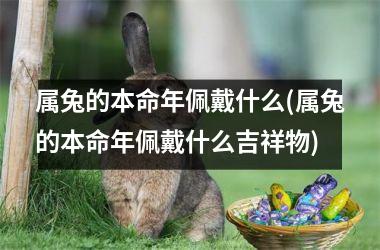 属兔的本命年佩戴什么(属兔的本命年佩戴什么吉祥物)