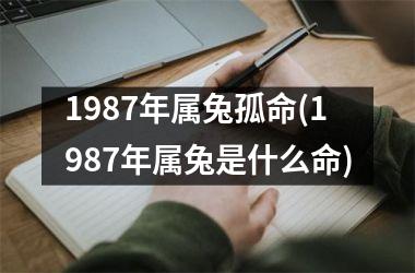 1987年属兔孤命(1987年属兔是什么命)